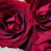 ヒメ日記 2025/05/20 20:01 投稿 ゆの 熟女の風俗最終章 蒲田店