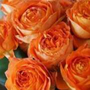 ヒメ日記 2025/05/27 18:50 投稿 ゆの 熟女の風俗最終章 蒲田店