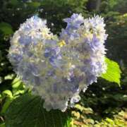 ヒメ日記 2025/06/05 21:08 投稿 ゆの 熟女の風俗最終章 蒲田店