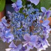 ヒメ日記 2025/06/17 18:57 投稿 ゆの 熟女の風俗最終章 蒲田店