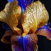 ヒメ日記 2025/06/24 19:09 投稿 ゆの 熟女の風俗最終章 蒲田店