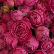 ヒメ日記 2025/07/05 00:20 投稿 ゆの 熟女の風俗最終章 蒲田店