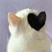 ヒメ日記 2025/07/05 18:50 投稿 ゆの 熟女の風俗最終章 蒲田店