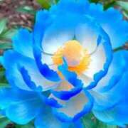 ヒメ日記 2025/07/10 17:10 投稿 ゆの 熟女の風俗最終章 蒲田店