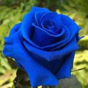 ヒメ日記 2025/08/16 20:20 投稿 ゆの 熟女の風俗最終章 蒲田店