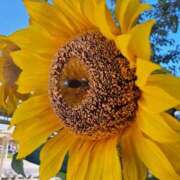 ヒメ日記 2025/08/18 00:20 投稿 ゆの 熟女の風俗最終章 蒲田店