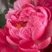 ヒメ日記 2025/08/19 00:40 投稿 ゆの 熟女の風俗最終章 蒲田店