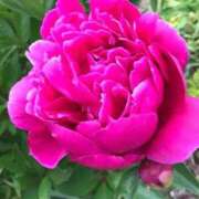 ヒメ日記 2025/08/23 01:20 投稿 ゆの 熟女の風俗最終章 蒲田店