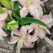 ヒメ日記 2025/08/24 20:50 投稿 ゆの 熟女の風俗最終章 蒲田店