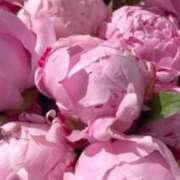 ヒメ日記 2025/08/30 14:50 投稿 ゆの 熟女の風俗最終章 蒲田店