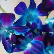 ヒメ日記 2025/09/08 19:31 投稿 ゆの 熟女の風俗最終章 蒲田店