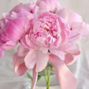 ヒメ日記 2025/09/10 10:36 投稿 ゆの 熟女の風俗最終章 蒲田店