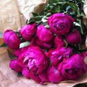 ヒメ日記 2025/09/12 00:06 投稿 ゆの 熟女の風俗最終章 蒲田店