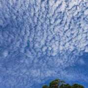 ヒメ日記 2025/10/02 11:50 投稿 ゆの 熟女の風俗最終章 蒲田店