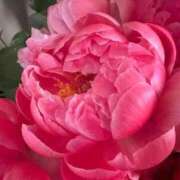 ヒメ日記 2025/10/16 00:53 投稿 ゆの 熟女の風俗最終章 蒲田店