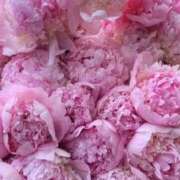 ヒメ日記 2025/10/20 18:20 投稿 ゆの 熟女の風俗最終章 蒲田店