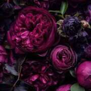 ヒメ日記 2025/10/31 18:50 投稿 ゆの 熟女の風俗最終章 蒲田店