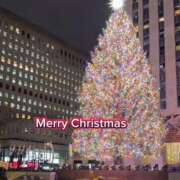 ヒメ日記 2025/11/06 16:07 投稿 ゆの 熟女の風俗最終章 蒲田店