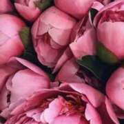 ヒメ日記 2025/11/24 00:01 投稿 ゆの 熟女の風俗最終章 蒲田店