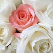 ヒメ日記 2025/11/28 20:45 投稿 ゆの 熟女の風俗最終章 蒲田店