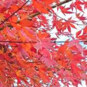 ヒメ日記 2025/11/30 14:20 投稿 ゆの 熟女の風俗最終章 蒲田店