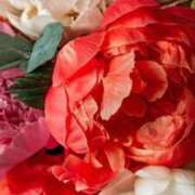 ヒメ日記 2025/11/30 16:14 投稿 ゆの 熟女の風俗最終章 蒲田店