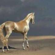 ヒメ日記 2025/12/01 21:40 投稿 ゆの 熟女の風俗最終章 蒲田店