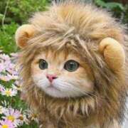 ヒメ日記 2025/12/17 21:25 投稿 ゆの 熟女の風俗最終章 蒲田店