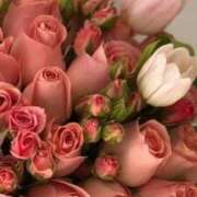 ヒメ日記 2025/12/19 23:35 投稿 ゆの 熟女の風俗最終章 蒲田店