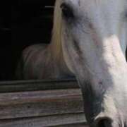 ヒメ日記 2025/12/28 15:01 投稿 ゆの 熟女の風俗最終章 蒲田店