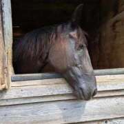 ヒメ日記 2026/01/03 17:31 投稿 ゆの 熟女の風俗最終章 蒲田店