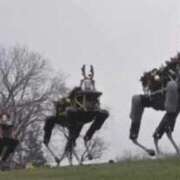 ヒメ日記 2026/01/09 21:20 投稿 ゆの 熟女の風俗最終章 蒲田店