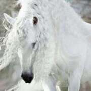 ヒメ日記 2026/01/19 21:30 投稿 ゆの 熟女の風俗最終章 蒲田店