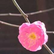 ヒメ日記 2026/01/22 12:01 投稿 ゆの 熟女の風俗最終章 蒲田店