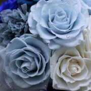 ヒメ日記 2026/01/29 11:28 投稿 ゆの 熟女の風俗最終章 蒲田店