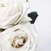 ヒメ日記 2026/02/07 11:30 投稿 ゆの 熟女の風俗最終章 蒲田店