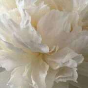 ヒメ日記 2026/02/08 11:20 投稿 ゆの 熟女の風俗最終章 蒲田店