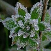 ヒメ日記 2026/02/11 11:55 投稿 ゆの 熟女の風俗最終章 蒲田店