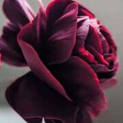 ヒメ日記 2026/02/19 18:06 投稿 ゆの 熟女の風俗最終章 蒲田店