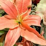 ヒメ日記 2026/03/08 11:52 投稿 ゆの 熟女の風俗最終章 蒲田店