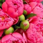 ヒメ日記 2026/03/17 22:30 投稿 ゆの 熟女の風俗最終章 蒲田店