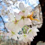 ヒメ日記 2026/03/22 14:20 投稿 ゆの 熟女の風俗最終章 蒲田店