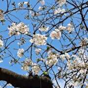 ヒメ日記 2026/03/27 12:01 投稿 ゆの 熟女の風俗最終章 蒲田店