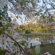 ヒメ日記 2026/03/30 23:00 投稿 ゆの 熟女の風俗最終章 蒲田店