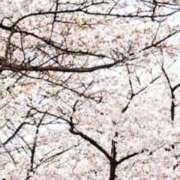 ヒメ日記 2026/03/31 20:00 投稿 ゆの 熟女の風俗最終章 蒲田店