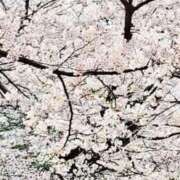 ヒメ日記 2026/04/05 18:00 投稿 ゆの 熟女の風俗最終章 蒲田店