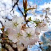 ヒメ日記 2026/04/07 18:20 投稿 ゆの 熟女の風俗最終章 蒲田店