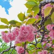 ヒメ日記 2026/04/09 22:20 投稿 ゆの 熟女の風俗最終章 蒲田店