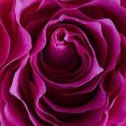 ヒメ日記 2026/04/17 17:27 投稿 ゆの 熟女の風俗最終章 蒲田店