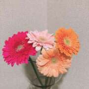 ヒメ日記 2025/02/13 08:30 投稿 こゆき エディーズ